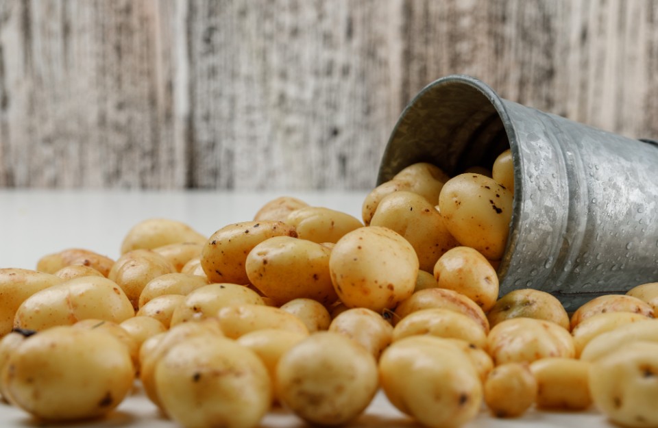 Potato Price Snapshot: November 24, 2023, Insights from Today's Wholesale Index